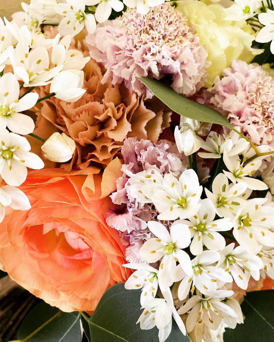 中村祥子さんのインスタグラム写真 - (中村祥子Instagram)「Beautiful flowers 💐💕💕 #thankyousomuch #お花屋さんのよう #それぞれ魅力的な花束#魅力的な色 😆」2月3日 9時55分 - shoko_officialpage