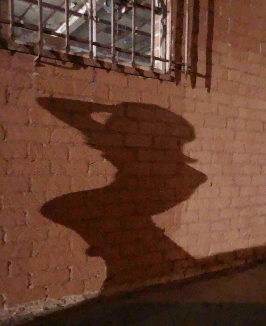 シャーロット・マッキニーのインスタグラム：「My shadow was really feeling itself last night」