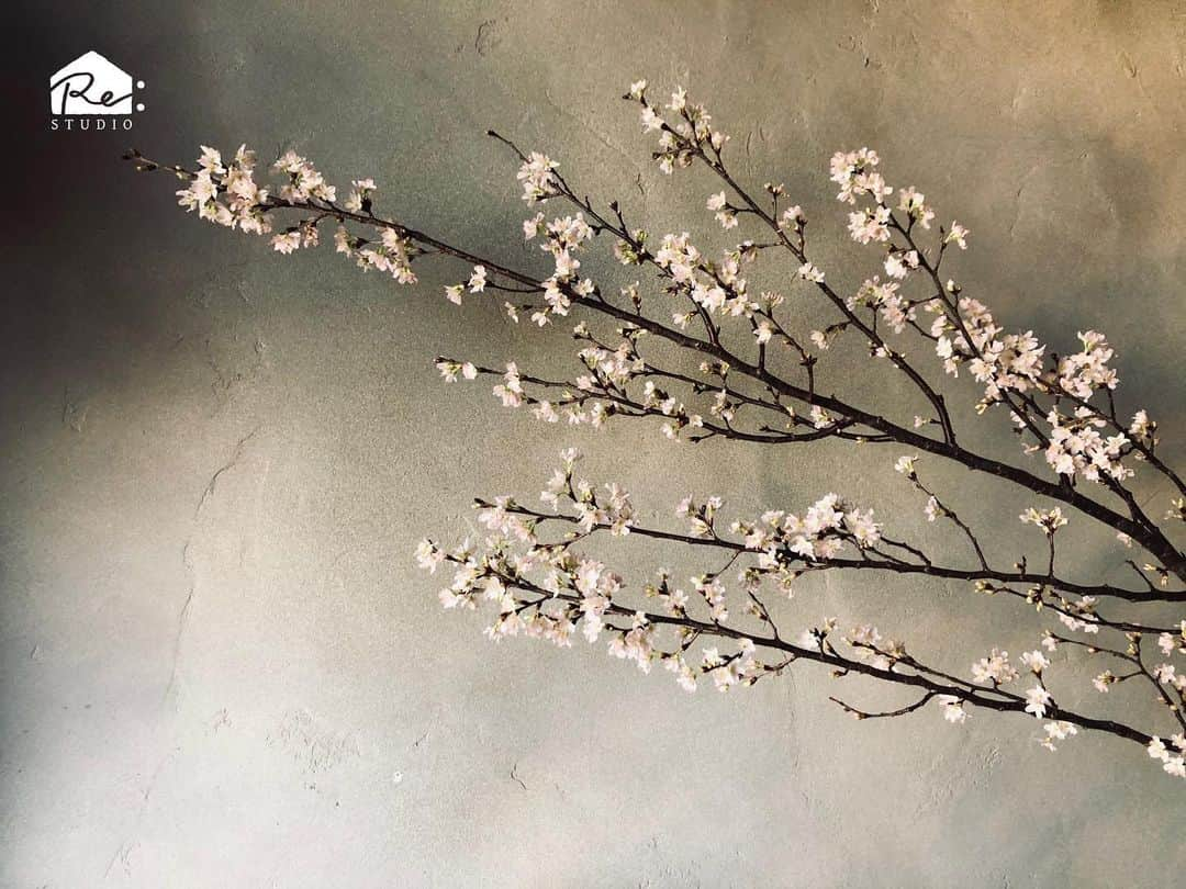 juno_jinjakonさんのインスタグラム写真 - (juno_jinjakonInstagram)「. スタジオのワンポイントに桜はいかがですか🌸 ラボネットワークで購入可能です🌈 . その他、花のご要望もお受けできます💐 . お問い合わせはDMまで ⇒(@restudio_jp)✨ . #restudio #ラボネットワーク #labonetwork #施工後 #写真館リフォーム #スタジオ #753 #七五三 #七五三撮影 #撮影セミナー #ハウススタジオ #撮影スタジオ #ストロボ撮影 #新テイスト #自然光 #桜」2月3日 11時18分 - restudio_jp