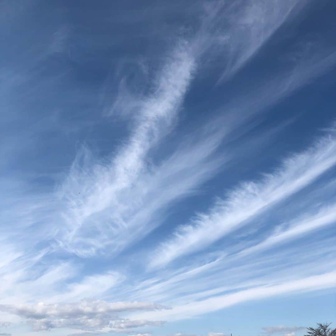 千吉良恵子さんのインスタグラム写真 - (千吉良恵子Instagram)「#美しい #晴れ晴れしい空 #とりの羽根の様な雲 #立春 今日は節分ですね 悪星退散⭐️善星皆来🌟」2月3日 12時21分 - chigirakeiko
