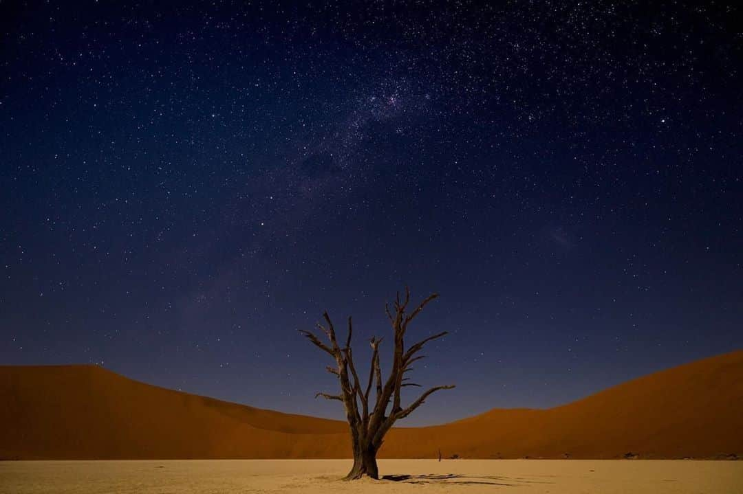 ライカさんのインスタグラム写真 - (ライカInstagram)「When it gets quiet and dark in Namibia, but the Milky Way eliminates the feeling of loneliness. Shot by  @otusstyle on a #LeicaSL  #🔴📷 #leica #leicacamera #leicaphotography #leicagram #leica_world #leica_club #leicasociety #letsgosomewhere #exploretocreate」2月4日 0時00分 - leica_camera