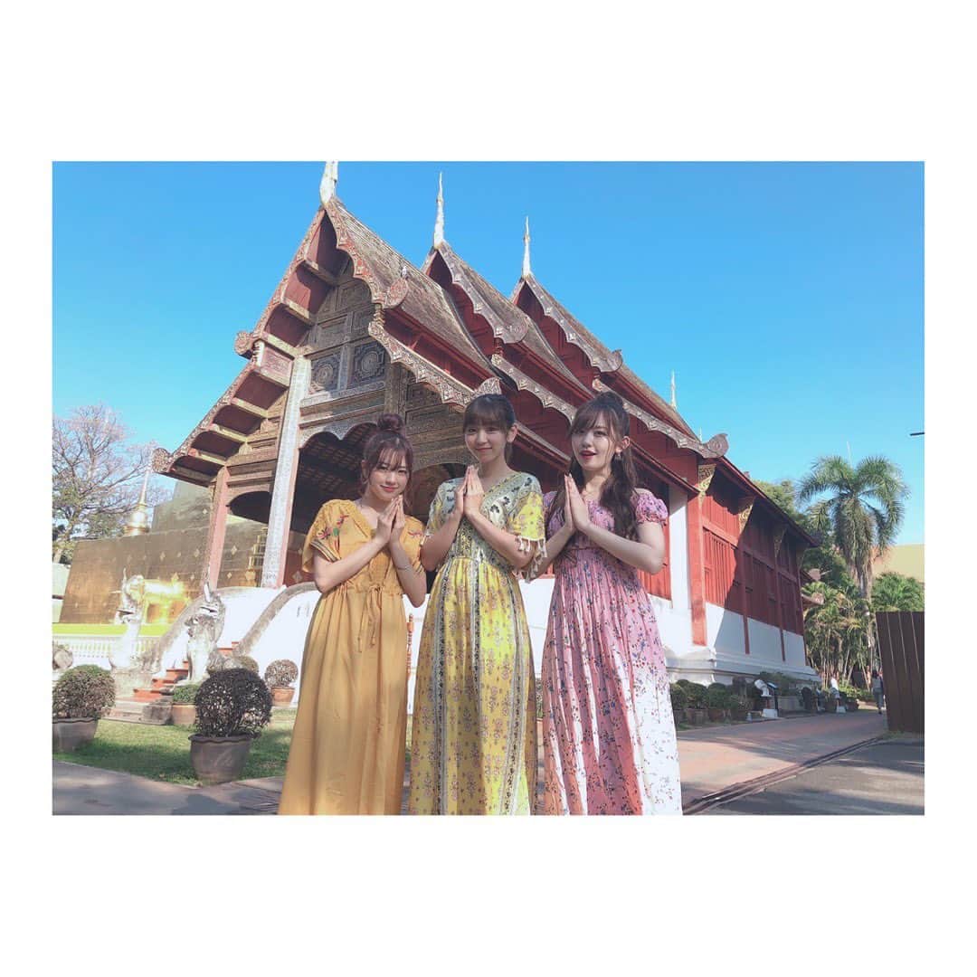 新木さくらさんのインスタグラム写真 - (新木さくらInstagram)「﻿ ﻿ ﻿ ﻿ タイ５日目〜🇹🇭❤︎❤︎﻿ ﻿ ﻿ ﻿ ﻿ タイのお寺巡りをしました✨✨﻿ ワットプラシンとワットチェディルアンへ﻿ ﻿ ﻿ チェンマイの中でも格式の高いお寺だそうです！﻿ 日本と全く違ってキラキラしてるお寺でした。﻿ ﻿ 参拝の作法も習ったよ♪﻿ ﻿ ﻿ ちなみにもし行く時は、露出少なめのファッションで行かないとダメです！！﻿ ﻿ ﻿ ﻿ ﻿ @amazingthailandjp﻿ #こんなタイ知らなかった ﻿ #thailovers ﻿ #タイ女子旅 ﻿ #チェンマイ﻿ #ワットプラシン﻿ #ワットチェディルアン﻿ ﻿」2月3日 15時42分 - araki_sakura14