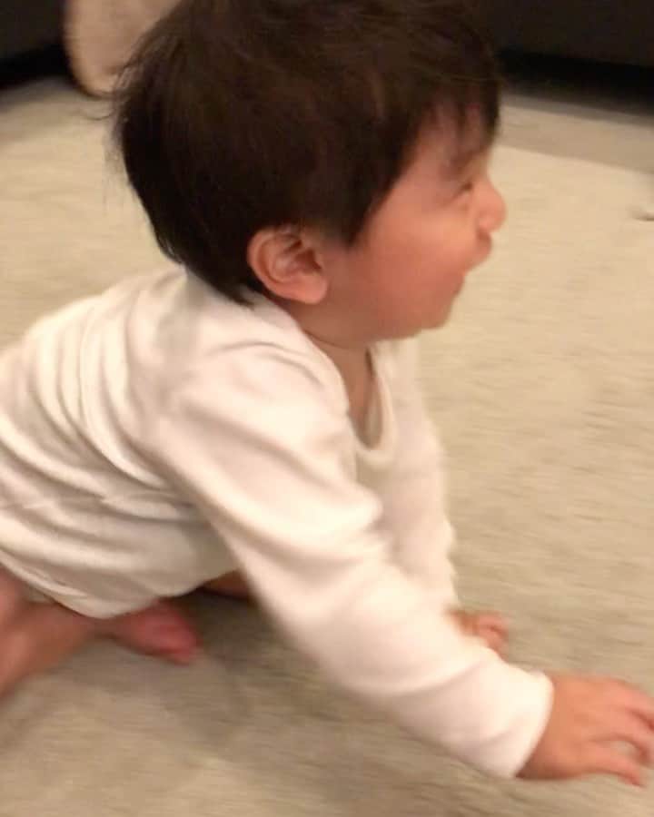 ソンイのインスタグラム：「昨日ストーリーでアップした息子のママおかえり動画が過去一レベルに反響ありすぎて「いつでも見れるように投稿もしてください🥺」と嬉しいリクエストをたくさん頂いちゃいました😂💕﻿ ﻿ 親バカなもんでwお世辞を真に受けて投稿👦🏻❤️笑﻿ ﻿ あとパパのメロメロ声が微笑ましいですのメッセージもたくさんだったんですが、私的には息子にも🐶🐶たちにも常にこんな感じの日常だったのでそのリアクションがすごく新鮮でした😂💗﻿ ﻿ 3枚目は、積み木を人に向かって投げちゃう事をパパがダメだよって怒ったら泣いちゃった図🥺﻿ 怒られた事を理解していくその成長もまた愛おしいな😌❤️﻿ ﻿ 4枚目も息子の夜中ミルク頻度やルーティンをアップしたらたくさんアドバイス頂きありがとうございます😭🍼🌙﻿ やっぱり夜間卒ミルクした方が朝までぐっすり寝るようになるし離乳食も食べる量増えるとの事で、パパとお互い協力できるタイミングを作って夜間卒ミルクをトライしてみようかなと🥺﻿ 夜中にミルク求めても抱っこで寝かしつけ✊🏻﻿💤 ﻿ 卒乳の時はフェードアウトのパターンだったため苦戦せずでレポートやアドバイスできる事なかったので、夜間卒ミルクは進展できたらしますね☺️🍼 (20時最初の寝かしつけミルクはまだ続けるので完全な卒ミルクではありません😌) #生後10ヶ月 #男の子ベビー #パパとお留守番」