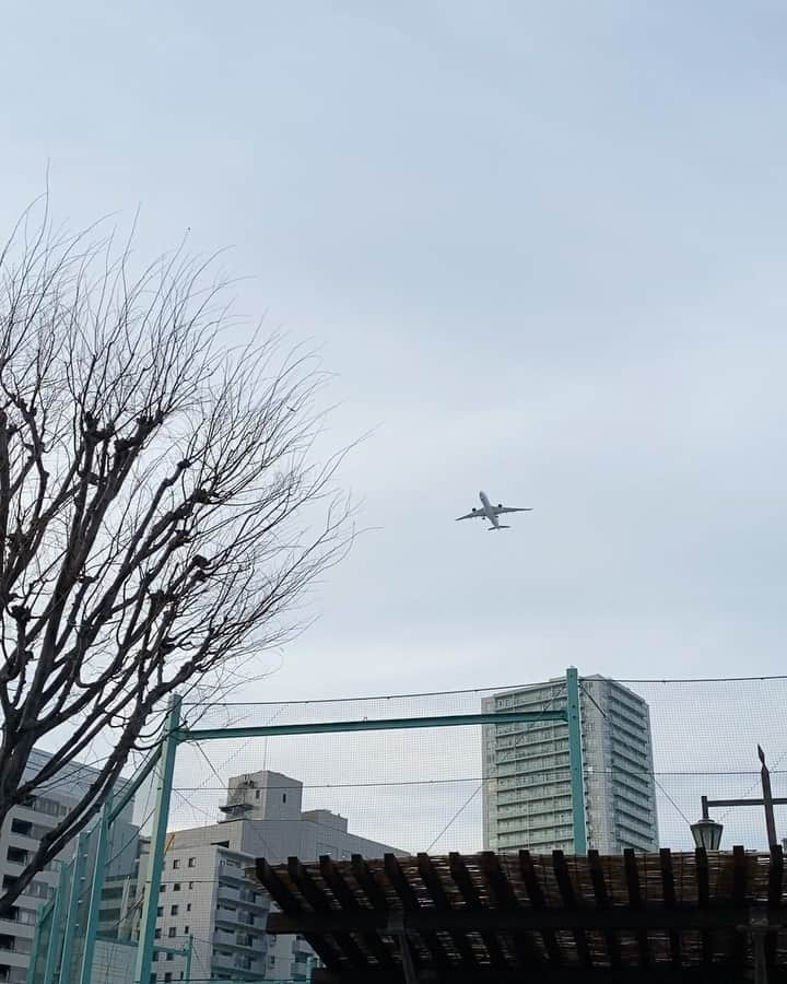 TYSONS&COMPANYのグルメインスタ