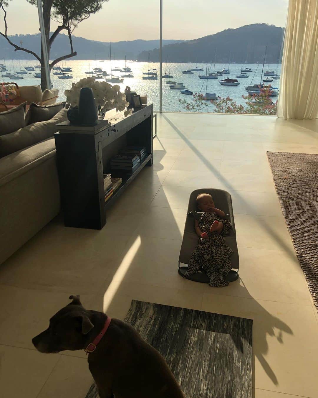 ジェニファー・ホーキンスのインスタグラム：「My yoga buddies 😍」
