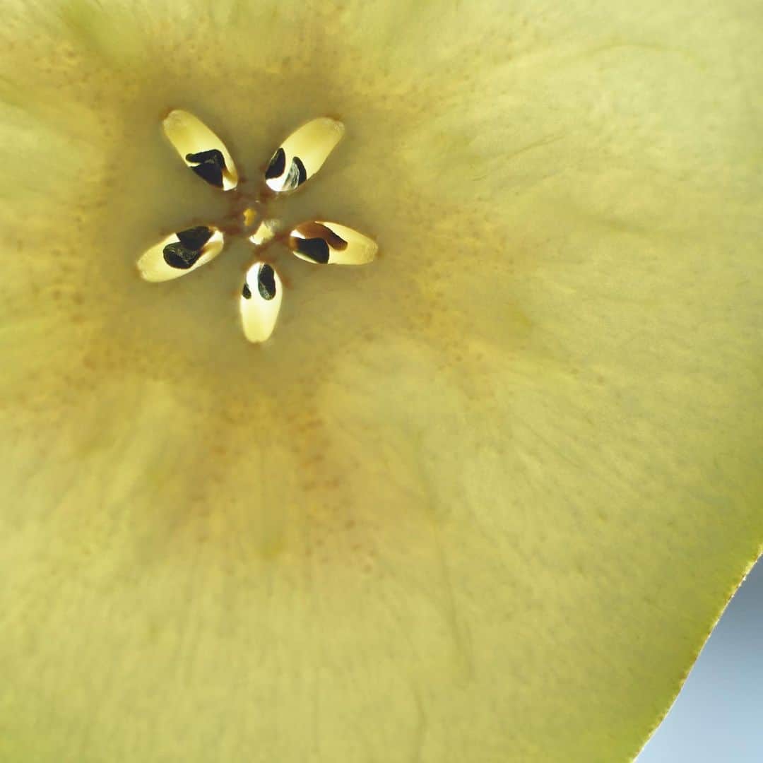 渡辺有子のインスタグラム：「料理教室 2月9日(日)14:30-17:00に2席キャンセルが出ました。 ご都合のあう方がいらっしゃいましたら、ぜひご参加ください。  テーマは冬の中華です。粉物、和えもの、スープなど冬野菜を使った中華家庭料理です。詳細、お申込はプロフィール欄（520fft.tumblr.com)よりお願いします。」