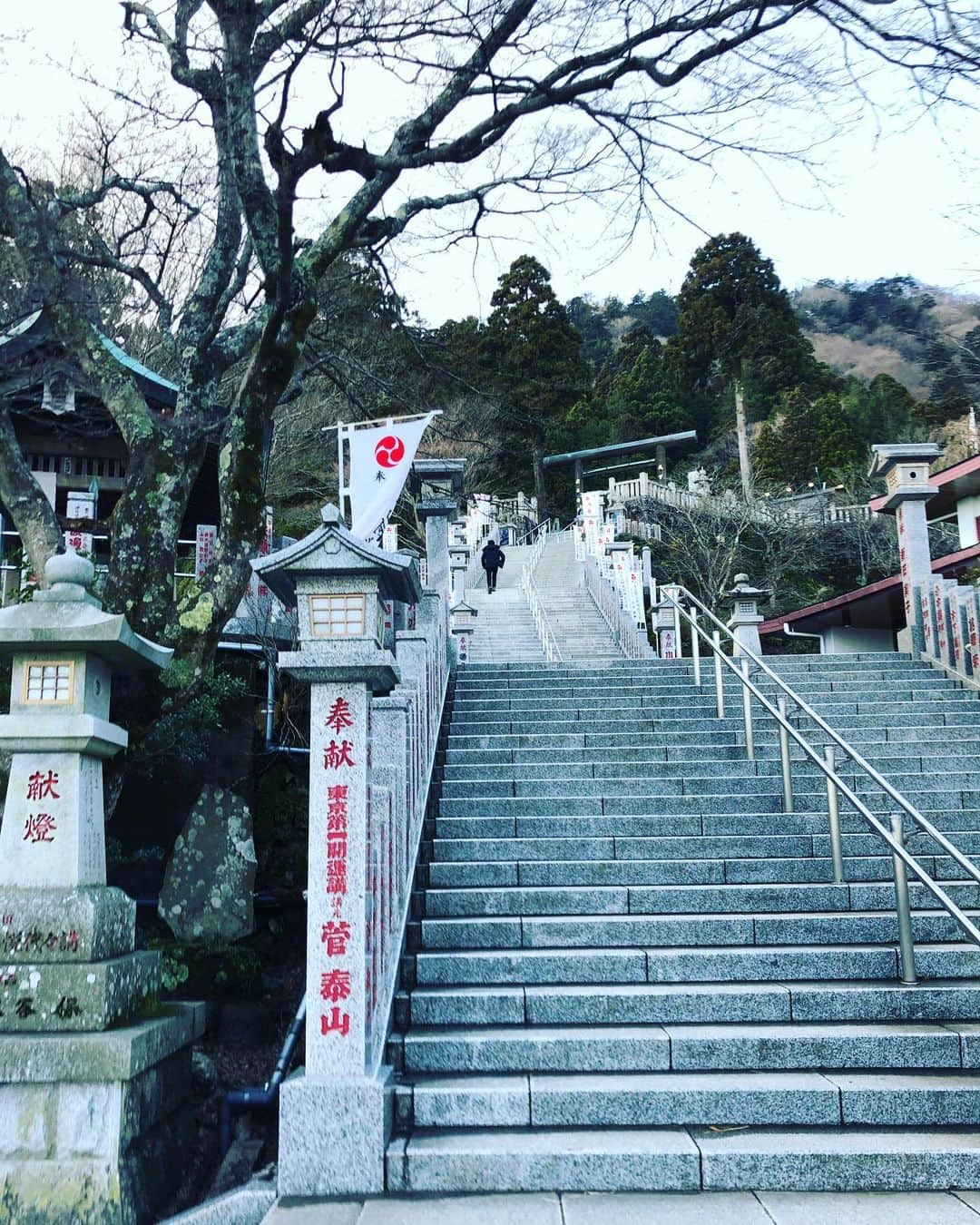 SHOCK EYEさんのインスタグラム写真 - (SHOCK EYEInstagram)「日本遺産にもなっている大山詣り。 ずっと行きたかった関東総鎮護、大山阿夫利神社に行ってきたよ⛩✨✨ 今回は大山の山頂の本社（行くには軽く登山💦）には、さすがに行けないので、下社のみだったけれど、それでも足がパンパンになるくらいの参道と階段、そしてケーブルカーまで乗って、やっと辿りついたそこは、本当に素晴らしい場所だったよ✨✨ 海抜696m、日本遺産になっている景観と立派な社殿。 そして、その後ろにそびえるは霊山、大山⛰ 富士山の神、木花咲耶姫のお父さん、つまりこの前行った霧島神宮の義父にあたる神様が祀られているので、富士浅間神社と合わせて参拝すると、尚良いとも聞いていたので、良い流れで来ることができて本当嬉しかった😊✨ （オタクかっw） 次こそはトレッキングシューズ履いて、1251mにある本社に行くぞー😆✨ #神社 #大山阿夫利神社 #伊勢原 #神奈川県 #大山詣り #日本遺産 #shintoshrine #shinto #jinja #oyamaafurishrine #ooyamaafurishrine #japanguide」2月3日 17時01分 - shockeye_official