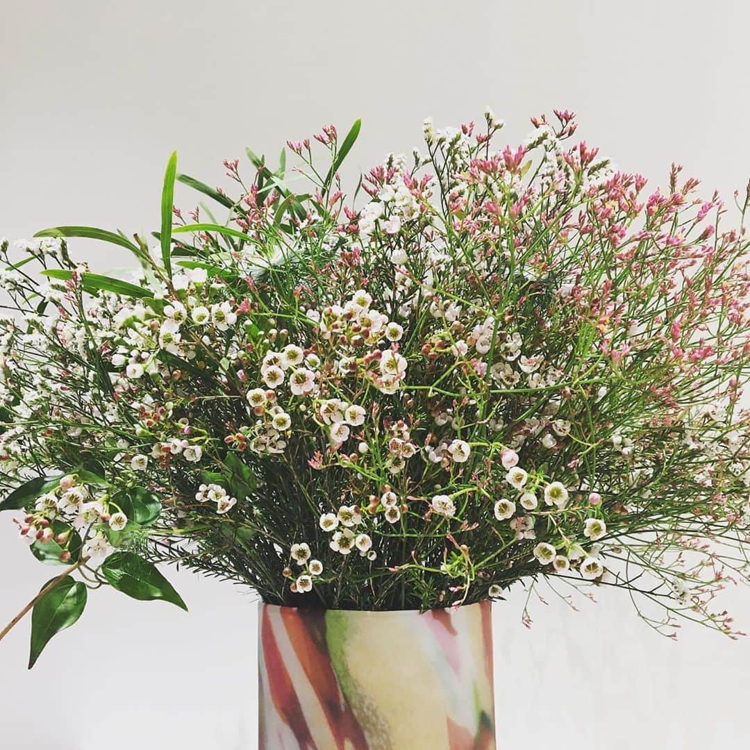 ルミネ公式のインスタグラム：「1月8日からのルミネのテーマは、『Poetic Spring　華麗なる花』 ヨーロッパの古典的な要素をインスピレーション源に、古い良き時代の文化や思考に注目。 アートやカルチャーを通して、知性や感性を磨く時間を大切に。 日常に小さな美や詩情を取り入れ、華やかで美しい春の気配を満喫しましょう。 . 今週のフラワーアレンジメントは、絵画の世界をイメージ。小花を使用しレトロ感を出してみました。 . #花#お花#花がある暮らし#花のある生活#花が好きな人と繋がりたい #リモニュームキノピンキー#リモニュームハイブリット#ワックスフラワー#ニゲラ#仙人草#アカシアフロリバンダ#ルミネの花 @fuga_tokyo」