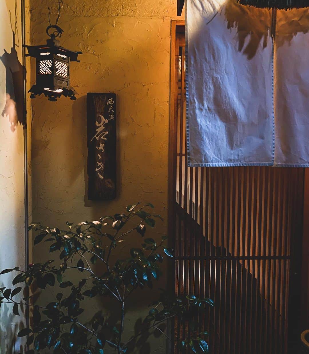 鬼辻麻衣さんのインスタグラム写真 - (鬼辻麻衣Instagram)「贅沢な夜🇯🇵🍶 ・ ・ 西天満📍岩さき ・ どのお料理も、ほんっとに美味しかった🥺🧡 また行きたい🐱 #大阪グルメ　#西天満岩さき」2月3日 18時55分 - kitsumai