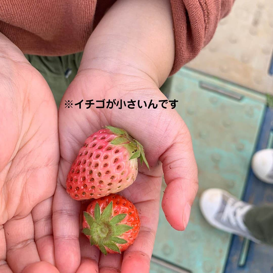 つむぱぱさんのインスタグラム写真 - (つむぱぱInstagram)「・ ・ かける言葉が、「・・でしょうね」しか思い浮かびませんでした。 ・ #3歳  #娘  #マンガ」2月3日 19時15分 - tsumugitopan