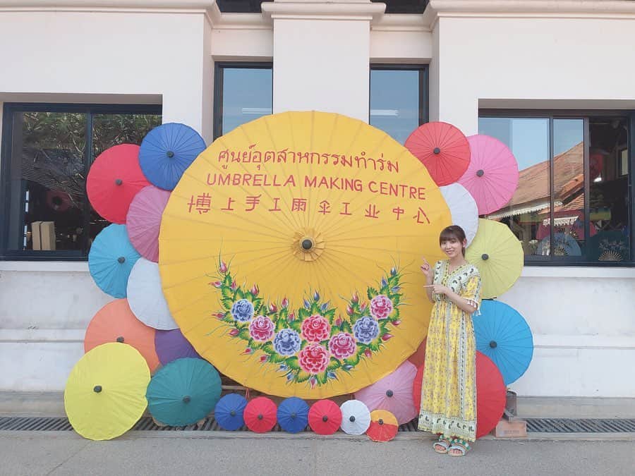 吉川千愛のインスタグラム：「今日はチェンマイにある﻿ #メーサーエレファントキャンプ﻿ でぞうさん🐘と﻿ ふれあえました♪♪ ﻿ 動物園で見るのよりも﻿ 間近で見れて柵もないから﻿ 子どものぞうさんでも﻿ 大きくてびっくり😆✨ ﻿ ﻿ おとなのぞうさんは﻿ もう、めちゃくちゃでかくて﻿ 迫力満点でした！！w﻿ ﻿ 子どものぞうさんに餌やり﻿ したり、触ったり、﻿ 初体験✨✨﻿ 新鮮だったな〜✨ ﻿ ﻿ その後は﻿ #ボーサーンアンブレラヴィレッジ　⛱﻿ 自分で絵付け体験が出来る工房で﻿ 中にはアーティストの方が﻿ 沢山作品を作ってました！﻿ ﻿ 絵具を使うの久々で﻿ 難しかったけど﻿ ばりばり楽しかったです💓﻿ ﻿ 先生に教わりながら﻿ 色を混ぜて﻿ タイに因んだデザインに﻿ してみました！！ ﻿ ﻿ ﻿ @amazingthailandjp ﻿ #こんなタイ知らなかった ﻿ #thailovers ﻿ #タイ女子旅 ﻿ #チェンマイ﻿ #チェンマイ旅行﻿ #ボーサーンアンブレラメイキングセンター ﻿ #thai﻿ #thailand ﻿ #タイ﻿ #女子旅﻿ #LinQ﻿ #吉川千愛﻿ #こんにちあ﻿ #あいんちゅ」