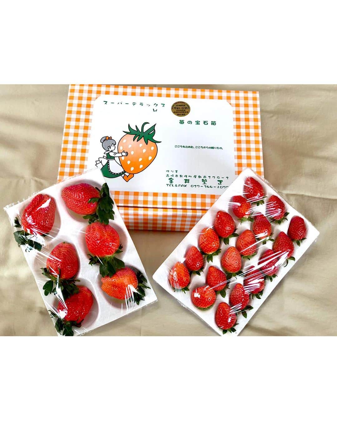 清水麻有のインスタグラム：「. 🍓🍓🍓 . . #イチゴ #part2 #大好物  #金井農園」