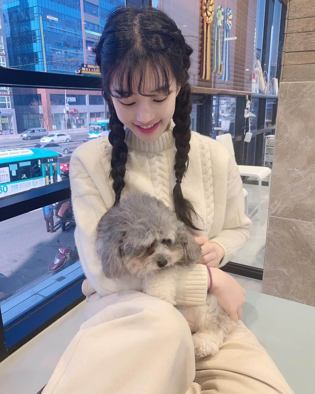 イ・ユビさんのインスタグラム写真 - (イ・ユビInstagram)「인형아님..😭 하아 심장아포😭 #개는훌륭하다🐾🐾 오늘밤 10시 kbs2 본방사수해주실꺼져?🐶🐶 @great_gooddog」2月3日 19時46分 - yubi_190