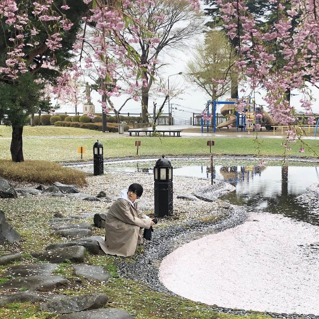 神尾楓珠のインスタグラム：「【写真集オフショット】  桜が満開の青森で撮影。 🌸の花びらいっぱいの 池ほとりで佇む。  #神尾楓珠 #神尾楓珠写真集」