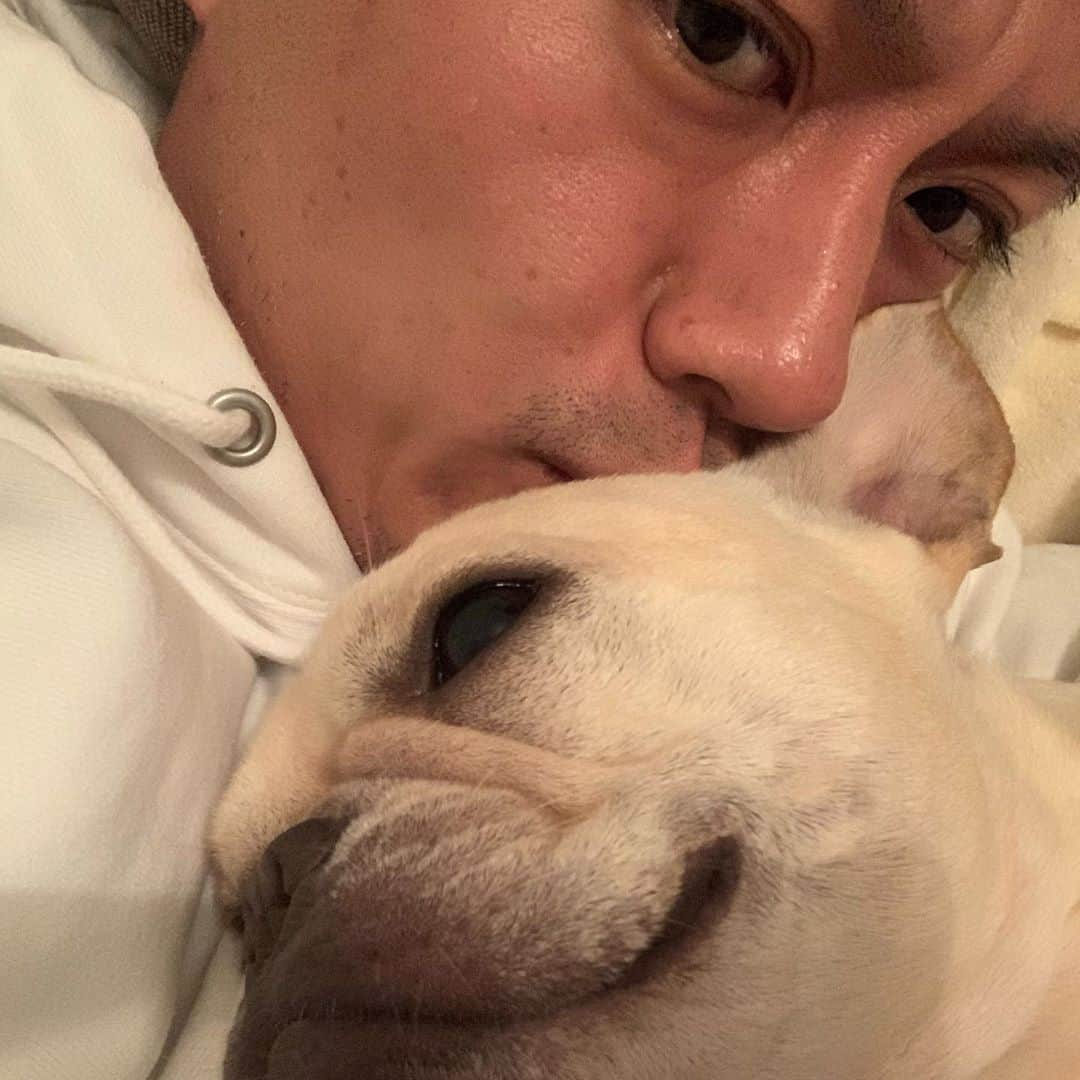 押尾学さんのインスタグラム写真 - (押尾学Instagram)「my baby😚😚❤️ #frenchbulldog #instadog #instagood #mylove #instagood #goodnight」2月3日 21時15分 - manabuoshio_official