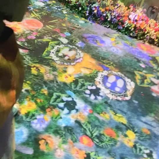 のインスタグラム：「【🔔音出ます】 妖精召喚！！！🦋 . #flowersbynaked2020桜」