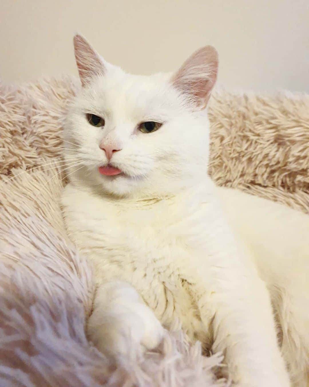 のインスタグラム：「Mondays 👅👎🏻」