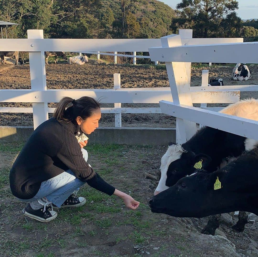 岡部亜紀さんのインスタグラム写真 - (岡部亜紀Instagram)「カプッ🐄🖤 さっそくお友達🎶🎶🎶」2月3日 21時35分 - akiokabe