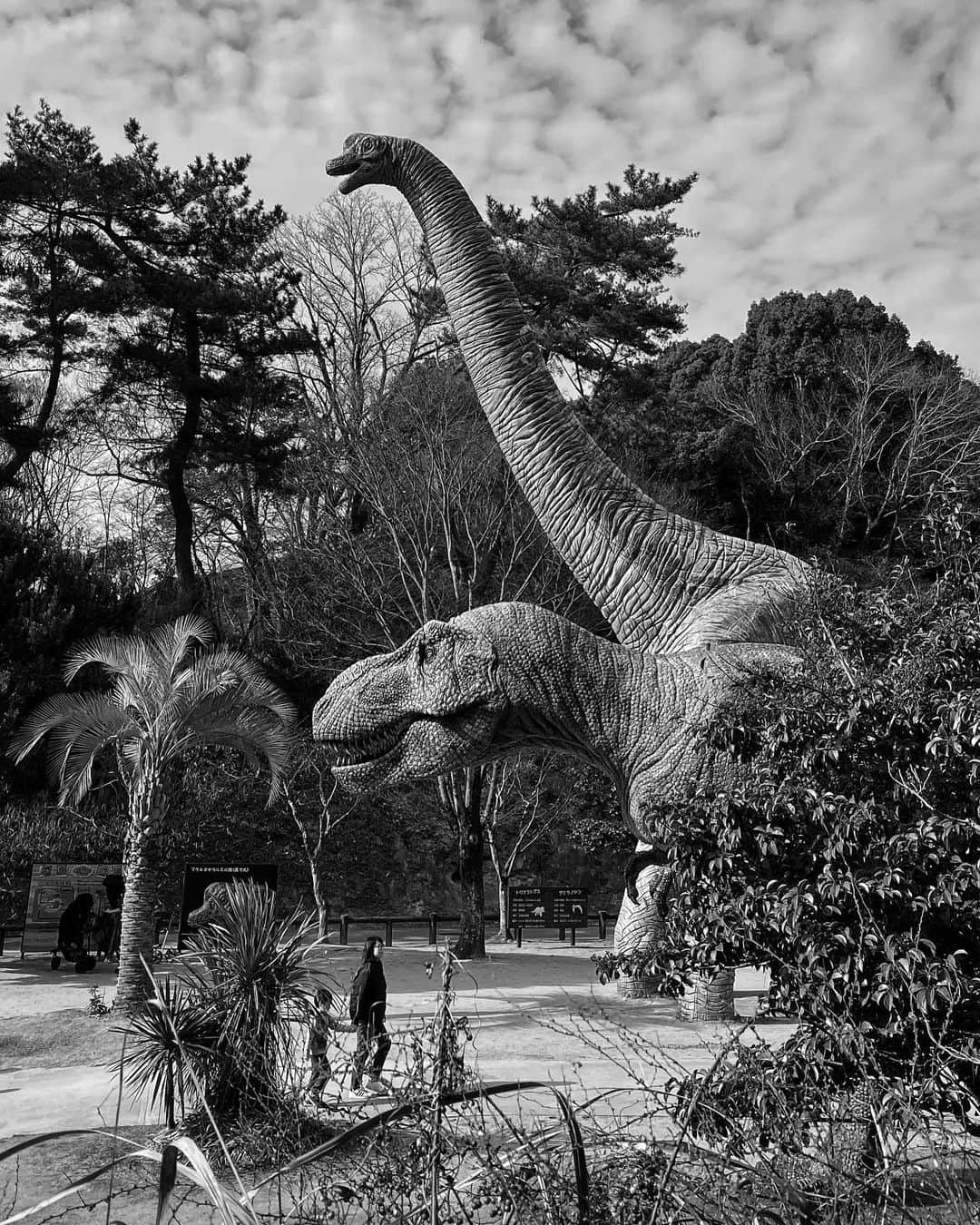 Jamioのインスタグラム：「Dinosaur. そろそろと始動。 . #ShotoniPhone iPhoneOnly .」