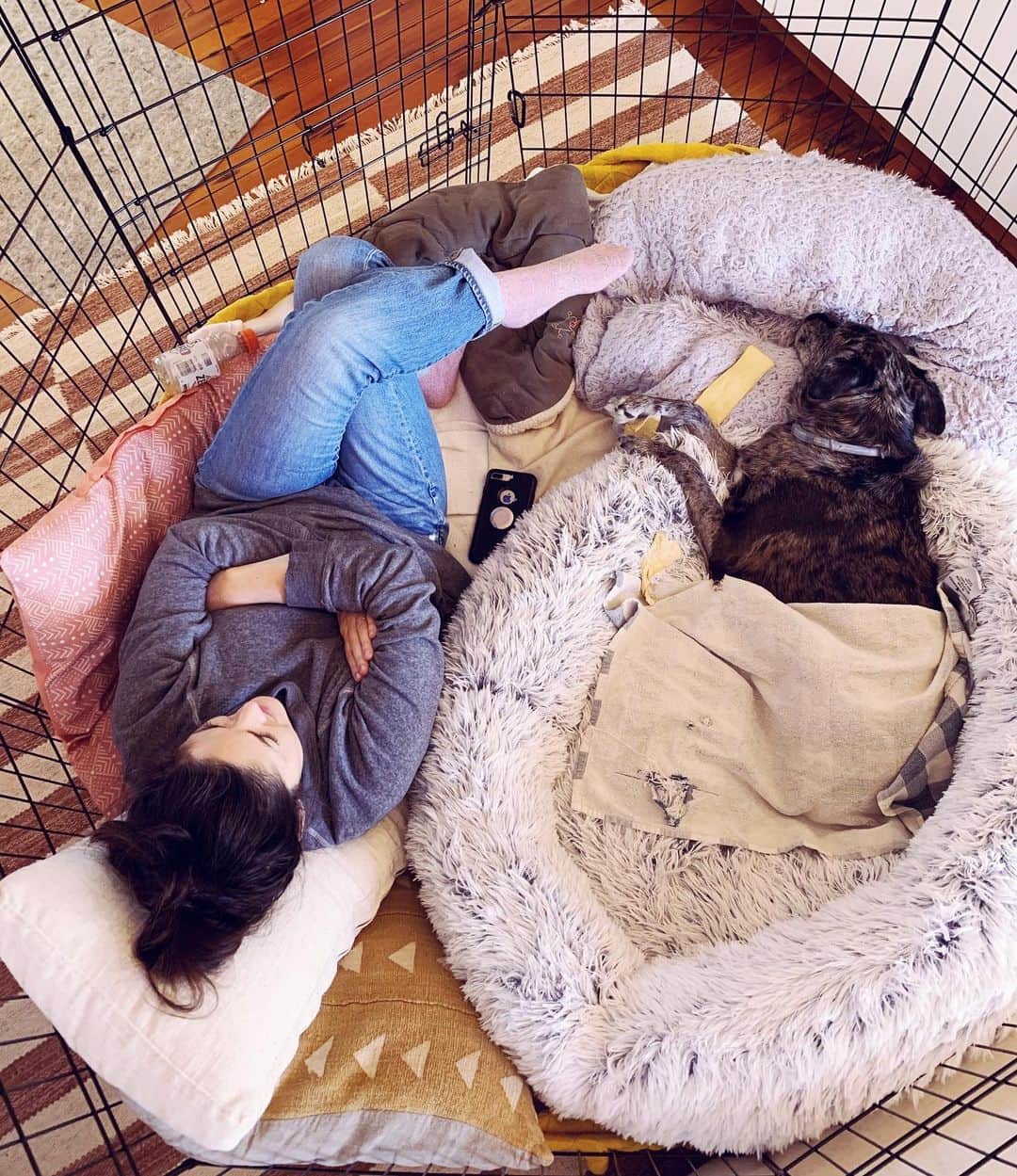 Grace Bonneyのインスタグラム：「This is the last month in a nutshell. Hanging here with our girl, hoping and praying this second surgery is the one that sticks and works. Turns out life from our dogs’ point of view isn’t so bad 💛 (she’s got an old dish towel on because it’s covering an ice pack)」