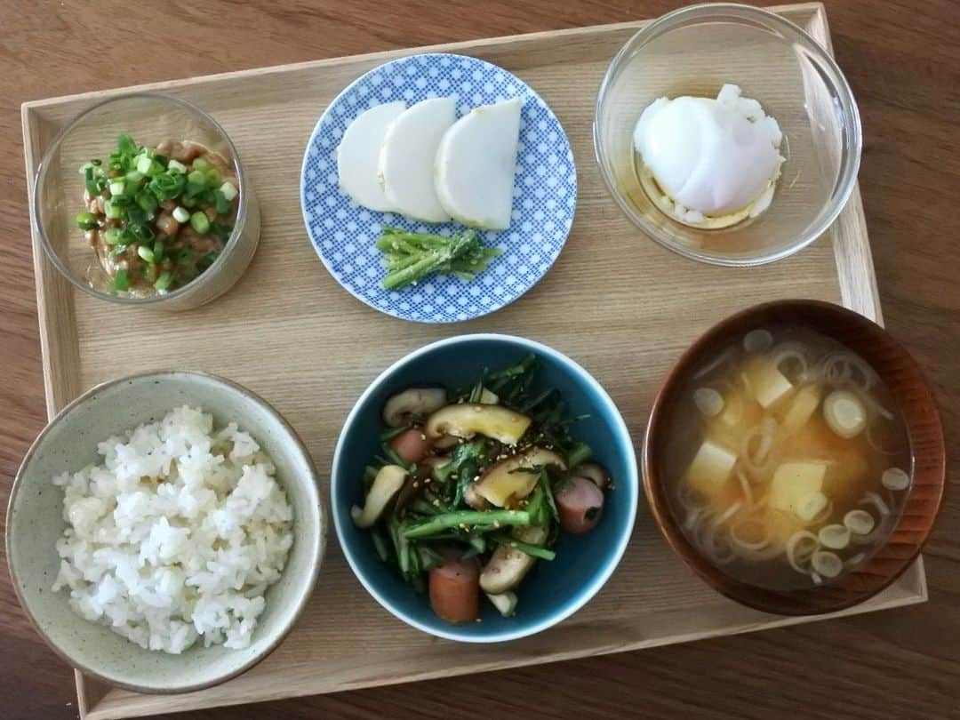 中山美香さんのインスタグラム写真 - (中山美香Instagram)「残り物で朝ご飯。 . . . #ご飯 #玄米 #白米 #春菊 #しいたけ #味噌汁 #豆腐 #油揚げ #えのき #温泉たまご #糠漬け #かぶ #納豆 #朝ごはん #朝ごはんの記録  #breakfast #petitdejeuner」2月4日 9時05分 - mika5nakayama