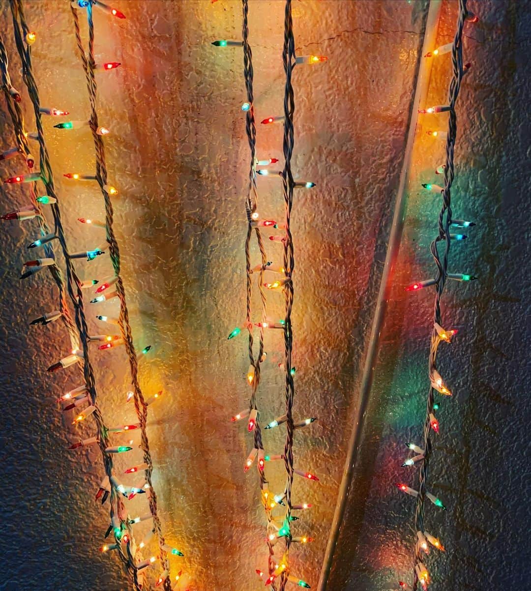 鈴木結女さんのインスタグラム写真 - (鈴木結女Instagram)「2020January #colorful #lights」2月4日 9時11分 - yumelynx