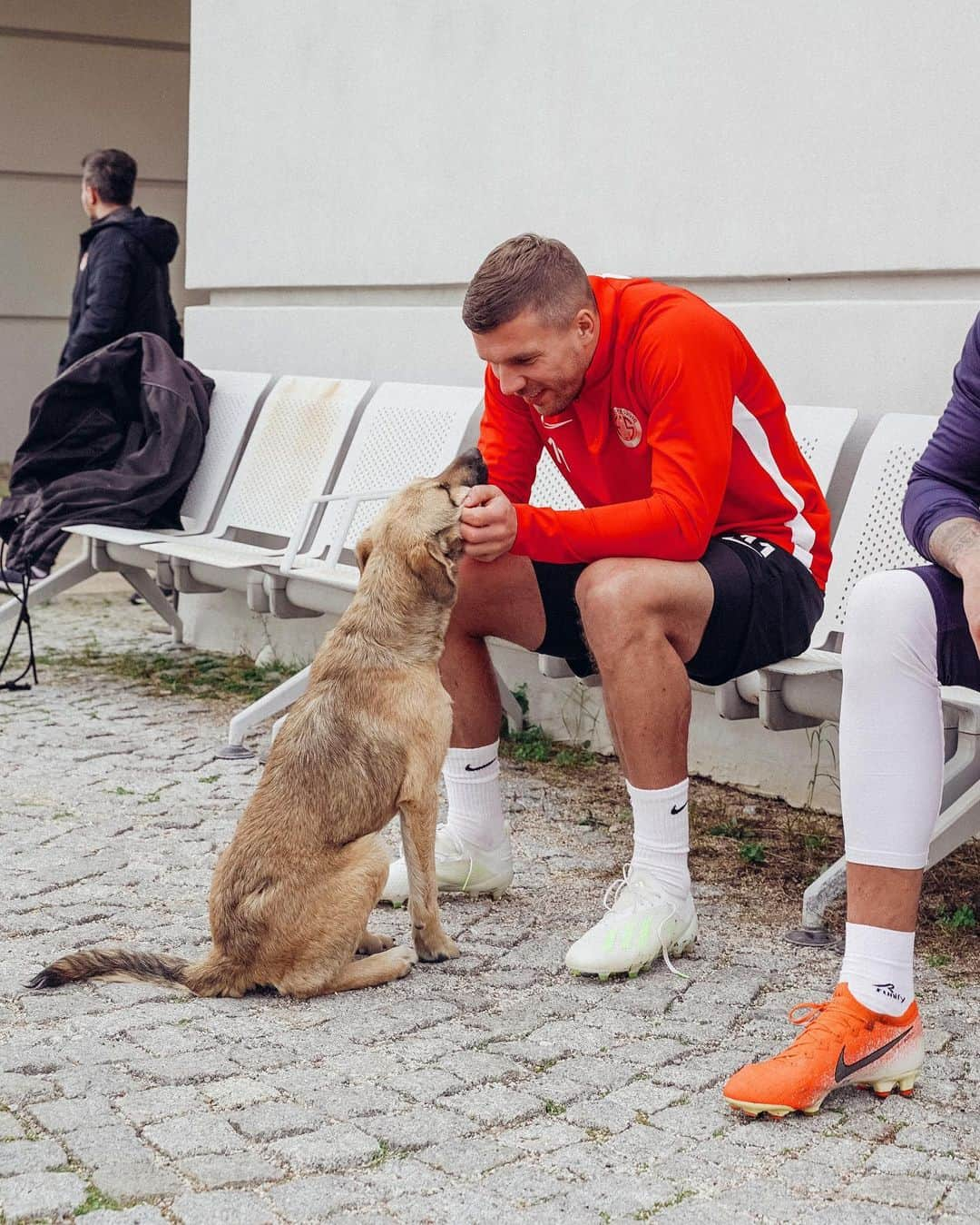 ルーカス・ポドルスキさんのインスタグラム写真 - (ルーカス・ポドルスキInstagram)「Doglover 🦮❤ #animals #poldi #love」2月4日 0時48分 - lukaspodolski