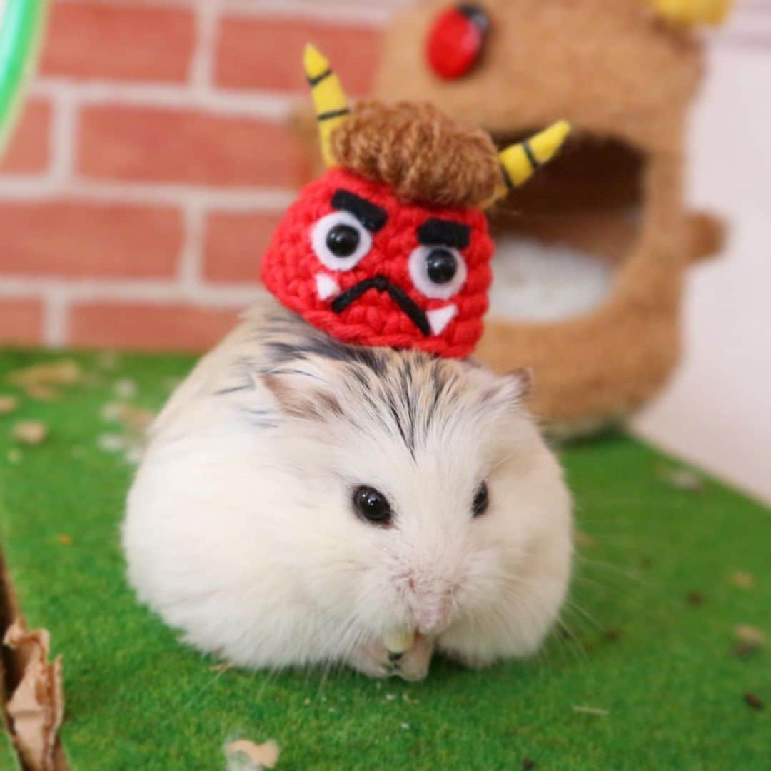 hamster_mocoのインスタグラム