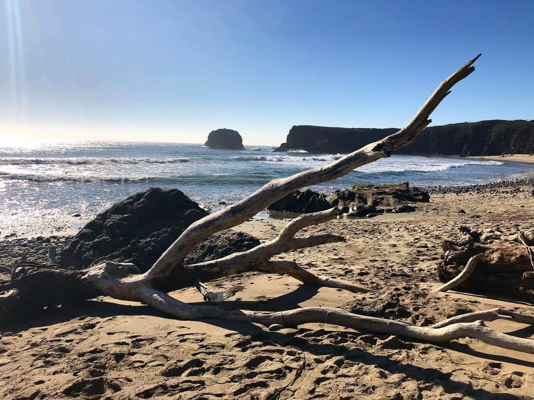 アナベル・ウォーリスのインスタグラム：「California ❤️」