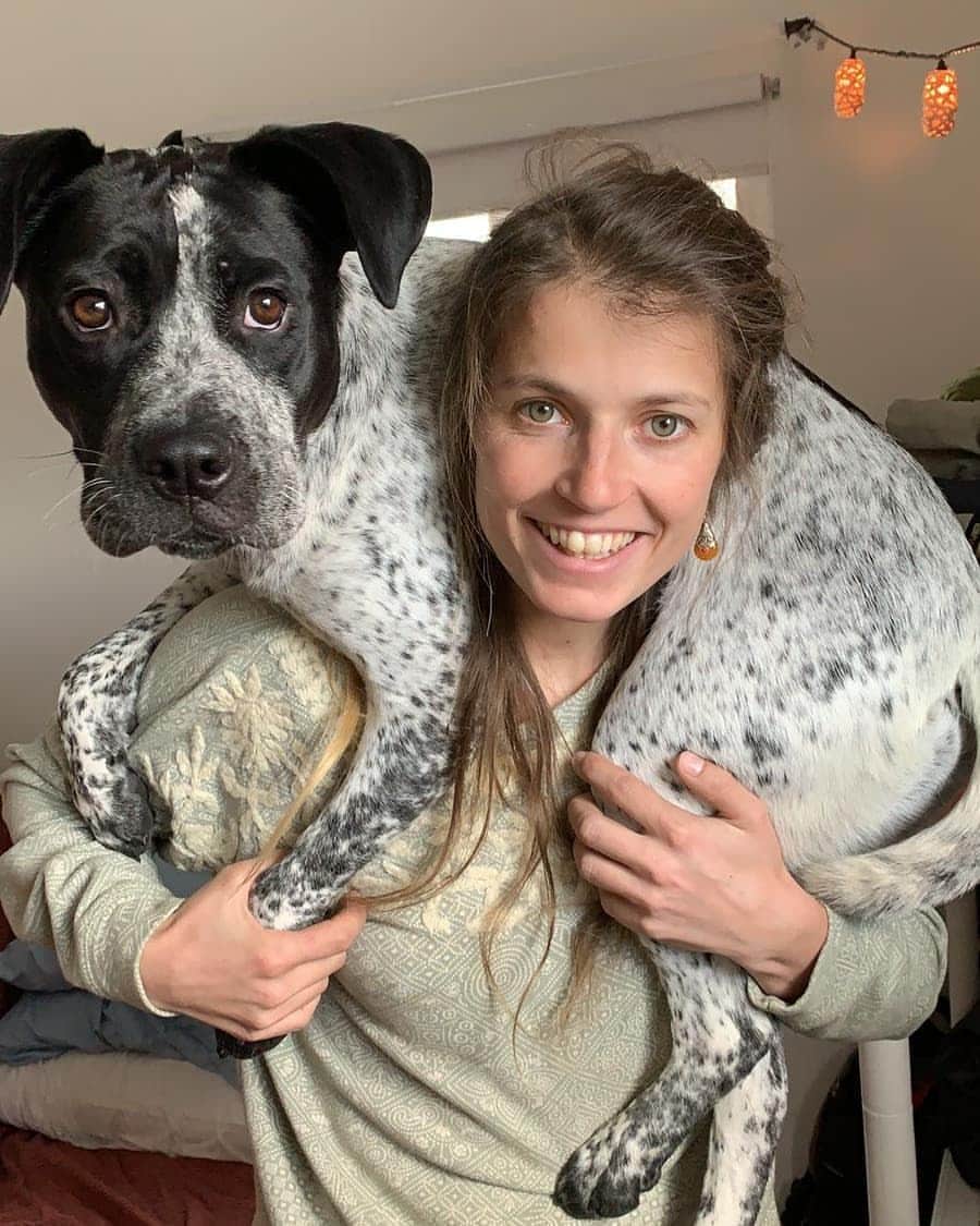 シャーロット・デュリフのインスタグラム：「🐶 Oh Lulu  Her happy place ? As close as possible to "her people", like when she decides to crawl up over our shoulders.  She was already 10month old when @joshlrsn and I rescued her. We don't know anything about her past, but these kind of behaviors (along with her crazy flexibility) make us think that she grew up around cats 😆」