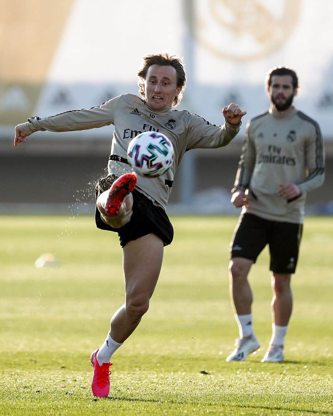 レアル・マドリードさんのインスタグラム写真 - (レアル・マドリードInstagram)「☀💪 Training in the evening glow. Entrenamiento de tarde. #RMCity | #HalaMadrid」2月4日 6時20分 - realmadrid