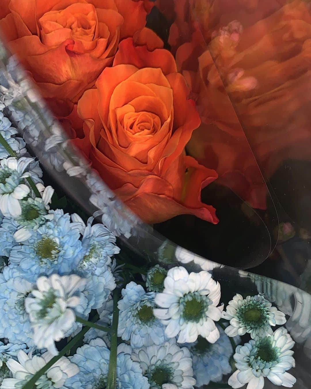 のインスタグラム：「こんな気分🧡💠﻿ お花を選ぶと今の自分の気持ちが、分かるから面白い﻿ ﻿ #flower #rose #orangerose」