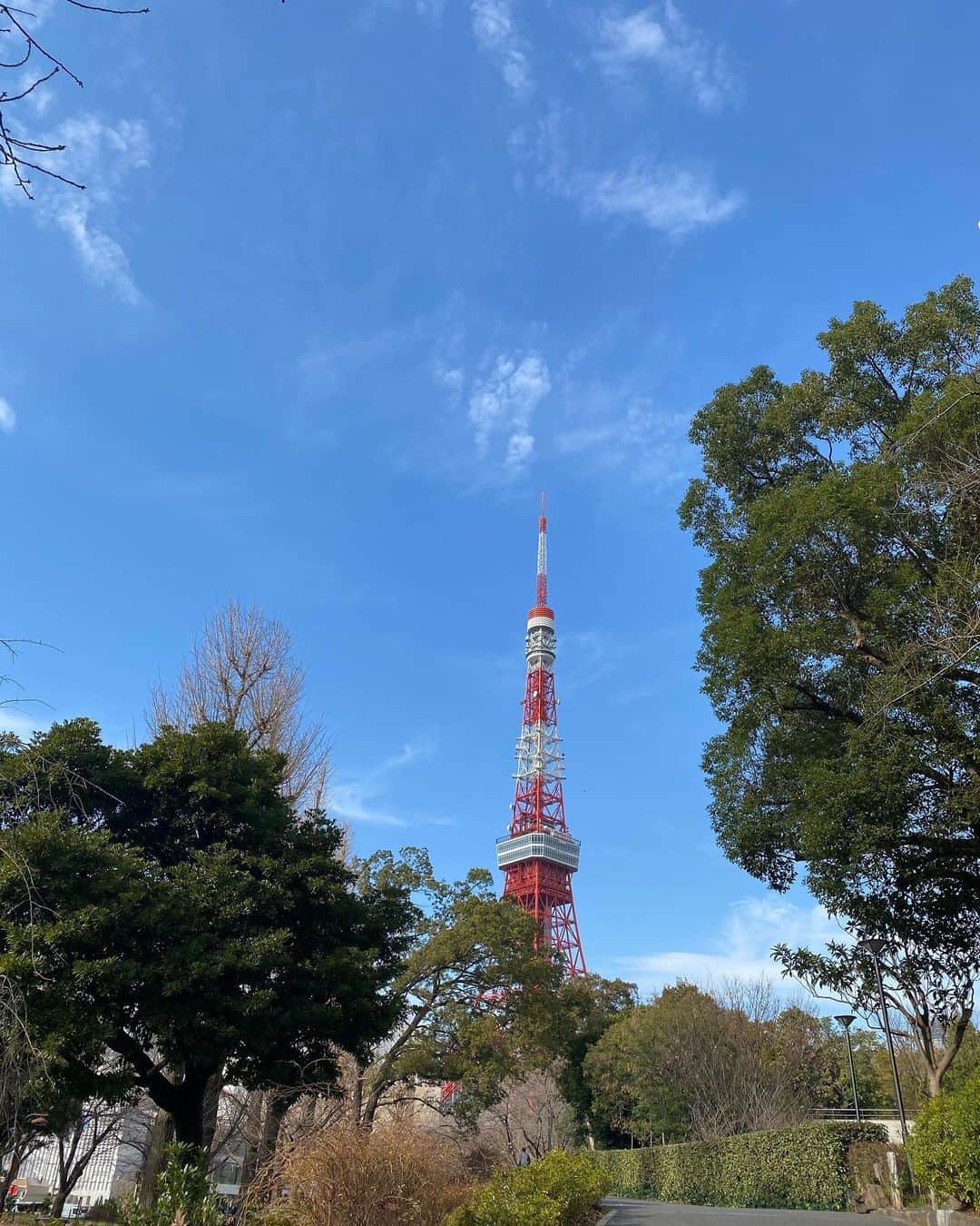 秋本祐希さんのインスタグラム写真 - (秋本祐希Instagram)「昨日の増上寺節分式の帰り道 とってもお天気が良く お散歩しながら帰宅していたら 少し春を感じましたよ☺︎ さて 今日から心新たに✨ 良き一年となりますように❤︎ #東京タワー #tokyotower」2月4日 9時36分 - ayuuki0908