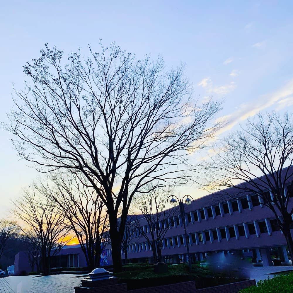 西川進さんのインスタグラム写真 - (西川進Instagram)「おはようございます！！ 『感情直結型ギタリスト』西川進です！！ 今日は「立春」、、、 暦の上での「春の始まる日」です、、、。 この頃温かいので、、、 本当に春が来たのか？なんて思うときもありますが、、、 またこの先寒くなるそうですね、、、。 近所の河原の桜も一輪咲いていたそうです、、、。 （家族提供）  昨日の帰り、、、 いつもならもう、、、薄暗くなっていた時間ですが、、、 昨日は夕日が見られました、、、。 日が延びていますね、、、。 春が恋しいです、、、。 みなさまの所はいかがですか？ ＿＿＿＿＿＿＿＿＿＿＿＿＿ そして昨日は、、、「節分」  恒例の「豆まき」をやりました、、、。 「花粉」が気になるので、、、 巻いたらすぐに窓を閉めていく方式で、、、ふふふ、、、。 巻き終わった後は、、、 まあ、、、こうなりますよね、、、。 豆は57個も食べられないので、、、 5+7＝12個いただきました、、、（少なっ、、、。） めちゃ美味しいけど、、、 口の中の水分が、、、全て吸い取られますよね、、、ふふふ、、、。 みなさんは豆まきやりましたか？？ ＿＿＿＿＿＿＿＿＿＿＿＿＿ 「節分」は季節を分ける事を意味しているらしく、、、 「節分」からの「立春」、、、 なんと風情のあること、、、。 季節を感じて生きていきたいです、、、。 さっ！！ 今日からいよいよ久松史奈さんリハーサル！！ 気合い入れていきます！！ みなさん良き火曜日をおすごしくださいね！！ #空　#雲　#宇宙　#西川進　#ギタリスト　#ギター　#モッズスタイル　#guitarist #guitar #サポートミュージシャン　#大事に思う気持ち　#季節を感じていきたい　#癒しの植物  #スマッシュルーム　#立春　#節分　#豆まき　#早咲き桜　#季節」2月4日 10時23分 - susumu_nishikawa_5