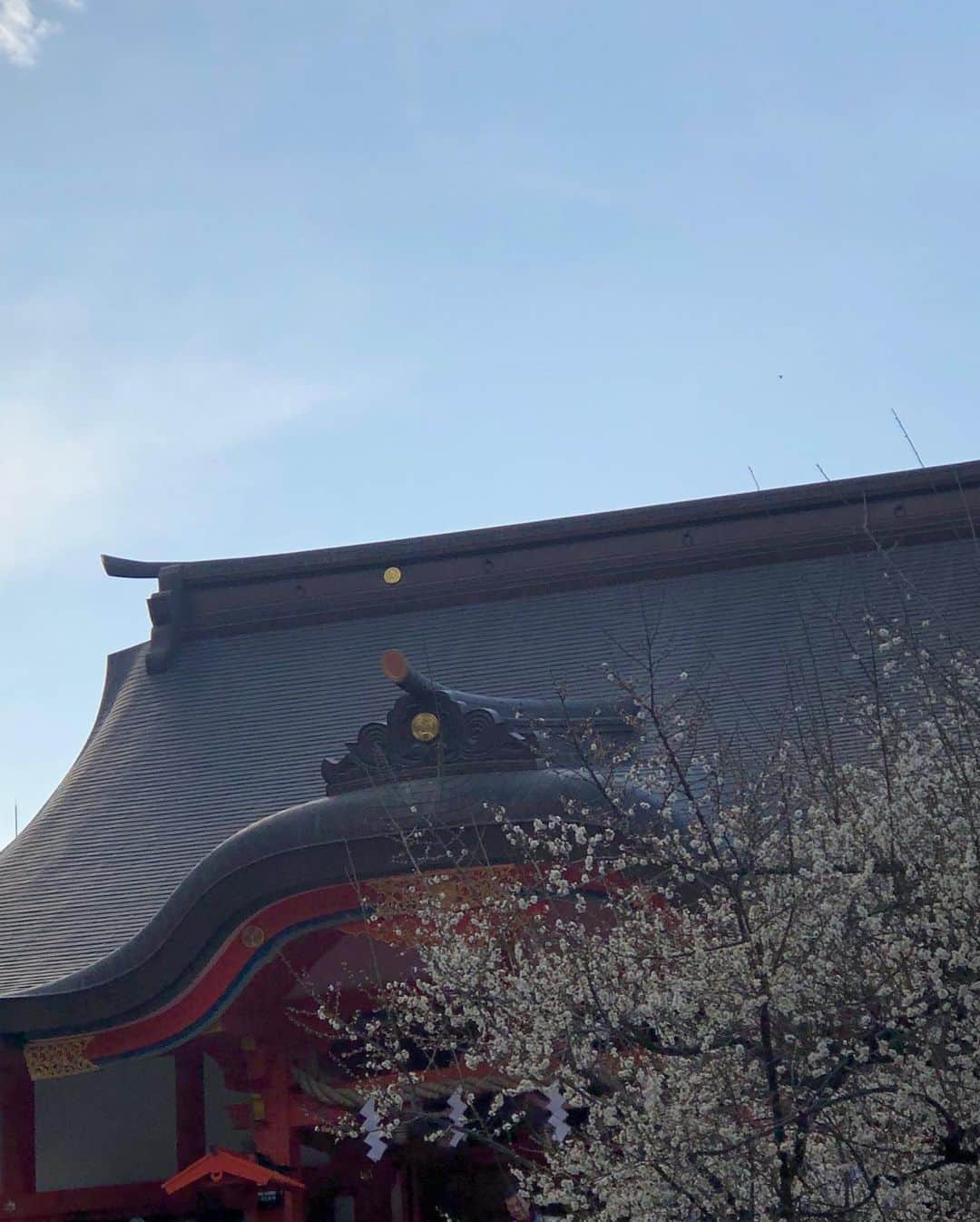 小林佳果さんのインスタグラム写真 - (小林佳果Instagram)「‪昨日、花園神社で執り行われていた節分会に偶然遭遇。‬ ‪なぜだか、導かれた気がしました。‬ ‪とても、清々しい。 ‬ ‪暦の上では、昨日で冬は終わり。‬ ‪ 今日から、新しい季節です。‬ ‪ どんな春が待っているのかな。」2月4日 10時43分 - keika_kobayashi