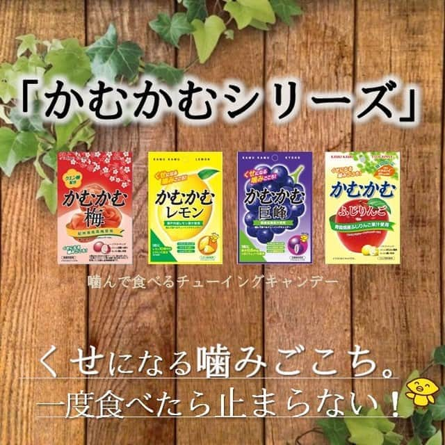 ダイソーのインスタグラム