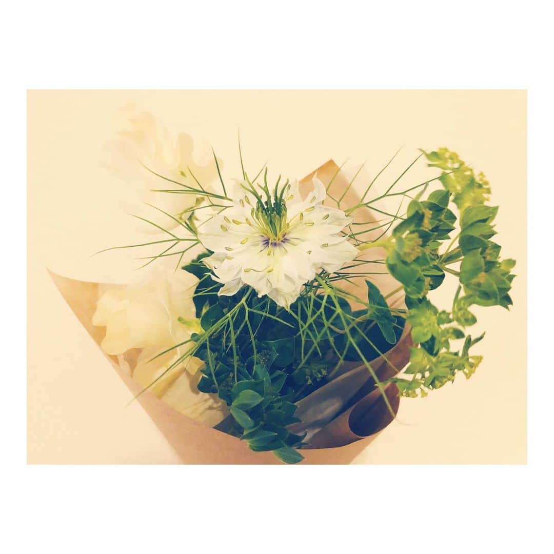 丸山未沙希のインスタグラム：「. お花のサプライズ。 かわいい。  #お花 #花のある暮らし #白 #夫 #うれしい #なんでもない日 #サプライズ #たまにあるやつ #忘れた頃にハッピー」
