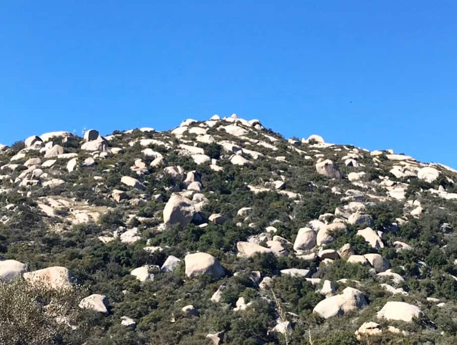 Dog's Life PANNAさんのインスタグラム写真 - (Dog's Life PANNAInstagram)「週末はサンディエゴへトレッキングに⛰🚶‍♀️ポテトチップのようにペラペラの岩の上で写真を撮るのがアメリカ流🇺🇸 大きなじゃがいもの様な岩がゴロゴロ転がる山道を汗だくで登り🥔山頂で食べたカルフォルニアロールは全米No1のSUSHIでした🍣💛　+ #ポテトチップロック #一歩間違ったら死ぬよ #スリルいらない #ワクワクとマイナスイオンだけで満足だよ🙏😅 #サンディエゴ#トレッキング #登山部 #potetochiprock #sandiego#trekking #USA #caliofornia #losangeles #LA #🇺🇸 + 高校の同級生で20年LAに住むMikiと可愛すぎる娘のNina、早朝からオニギリ握ってくれた優男のウラピ、愛人と一緒風の写真しか残せなかった社長と♪+ #楽しい休日をありがとう😊 #忘備録 @foxyninalove @japan_kanban @t.ogasawara1972」2月4日 12時59分 - panna0313
