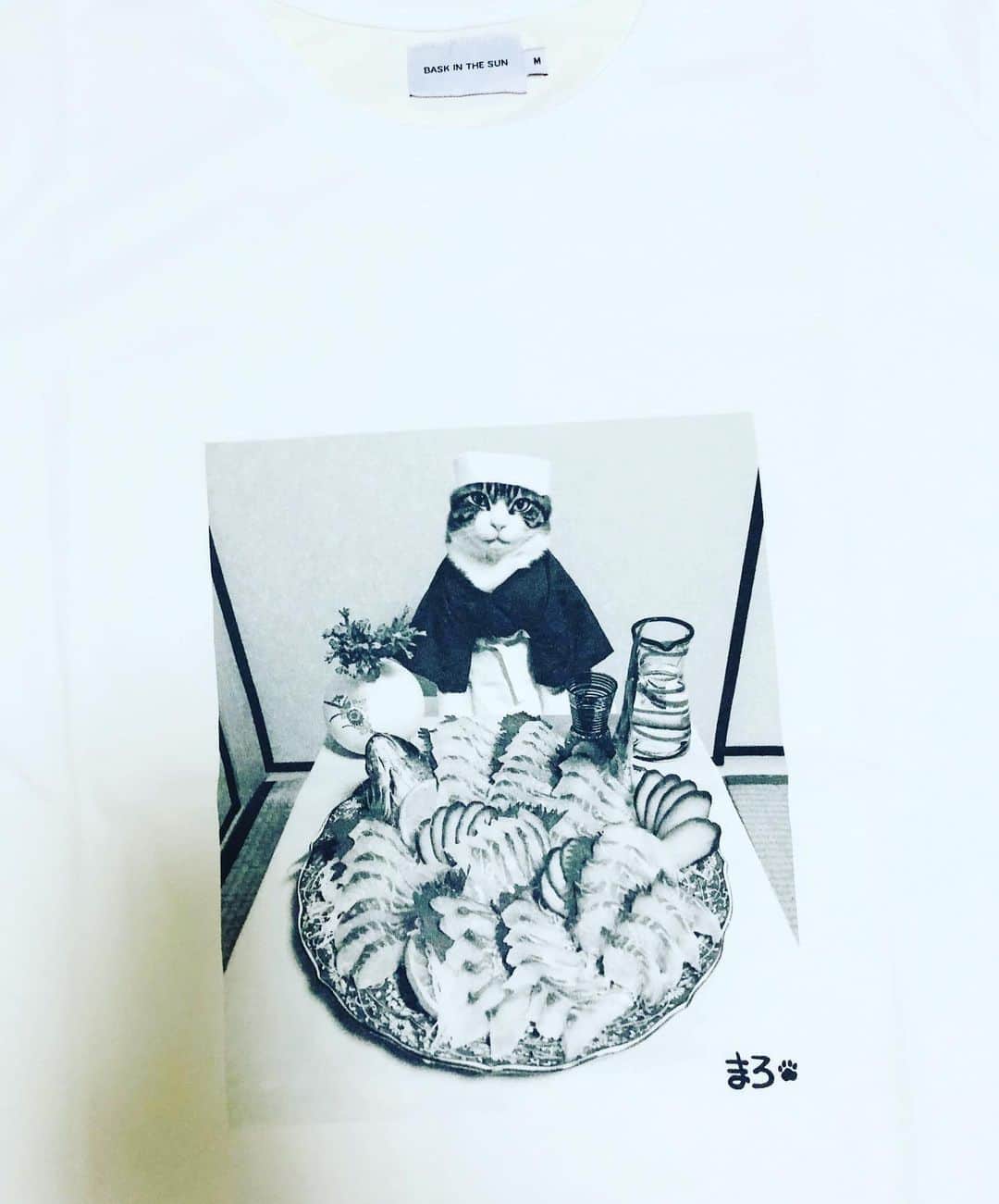 マロさんのインスタグラム写真 - (マロInstagram)「Thank you ‼️@baskinthesun_clothing  マロのTシャツを作っていただきました😺 @baskinthesun_clothing  made  Maro tee. ☆ #cat#cats#catsofinstagram #baskinthesun_clothing#tee #tshirt#clothing」2月4日 18時49分 - rinne172