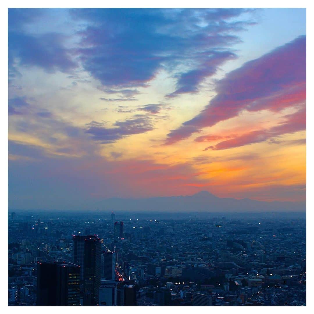 元井美貴さんのインスタグラム写真 - (元井美貴Instagram)「. 今日のブログは 渋谷スクランブルスクエアの展望空間 「渋谷スカイ」についてです . 富士山も東京タワーもスカイツリーも スクランブル交差点も一望できて 夕景も夜景も綺麗でした✨ 超絶オススメ💫」2月4日 14時31分 - mikimotoi