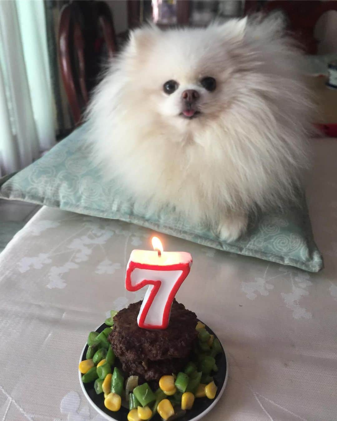 JEWELのインスタグラム：「Last January 31 was my 7th birthday.We did not get to celebrate it because mommy had a lot to do that day.But all is forgiven now since she made me beef patty cake.🎂🎁🎂 P.S. i shared some of the cake with pancake 🙄」