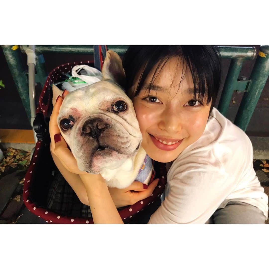 吉倉あおいさんのインスタグラム写真 - (吉倉あおいInstagram)「愛しのイビキさん♡ #ぼくの名前はイビキです #Frenchbulldog#フレブル」2月4日 15時53分 - aoi_yoshikura