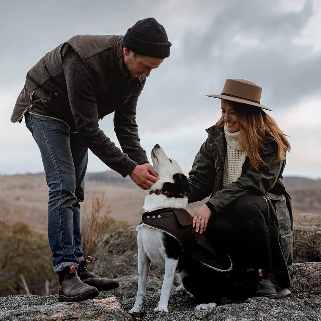 のインスタグラム：「Functional style for the whole family. Don't leave the dog behind on your next trip! Check out @drizabonedogs for coats designed for our four-legged friends. ⁠⠀ Image by @timclark1」