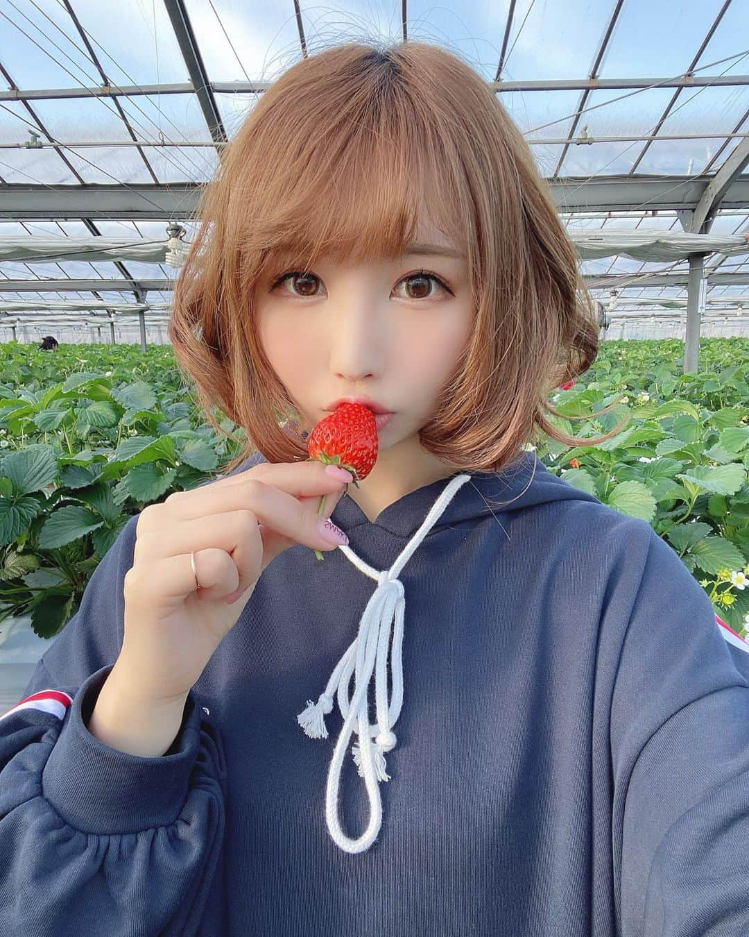 しらほしなつみさんのインスタグラム写真 - (しらほしなつみInstagram)「❤︎ 地元でいちご狩りが出来ちゃうとこ見つけたから毎年ここにきてる😍💕 恋みのりとあまおとめが好きだったな🍓 近いからまた行きたいな✨ ・ ワンピースはいただいたさくらちゃんのコラボワンピースなの💕 可愛い〜✨ たくさん着よっと😍 ・ #いちご狩り #いちご狩り🍓 #strawberry #japanesegirl #me #kawaii #ワンピースコーデ #ボブアレンジ #hairstyle #makeup #メイクアップ #カラコン #팔로우 #데일리룩 #彩妆 #粉我 #しらほしなつみ #自撮り女子 #selfie」2月4日 21時01分 - shirahoshi.natsumi