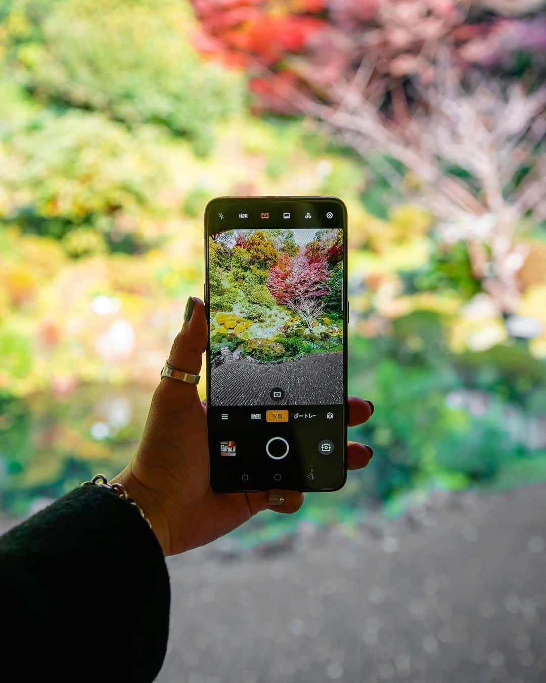 6151のグルメインスタ