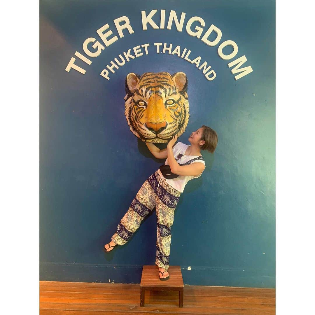 浅倉カンナさんのインスタグラム写真 - (浅倉カンナInstagram)「🐅 #タイ #プーケット #tigerkingdom  #スカイチケット #skyticket @skyticket.jp」2月4日 21時28分 - a_kanna_