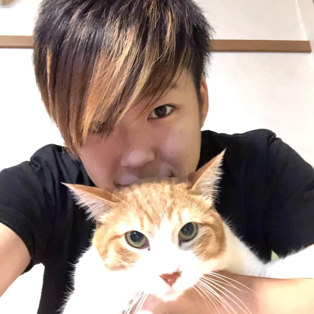 小野崎玲皇さんのインスタグラム写真 - (小野崎玲皇Instagram)「我が家の可愛いお猫様🦁」2月4日 21時46分 - leo_onozaki