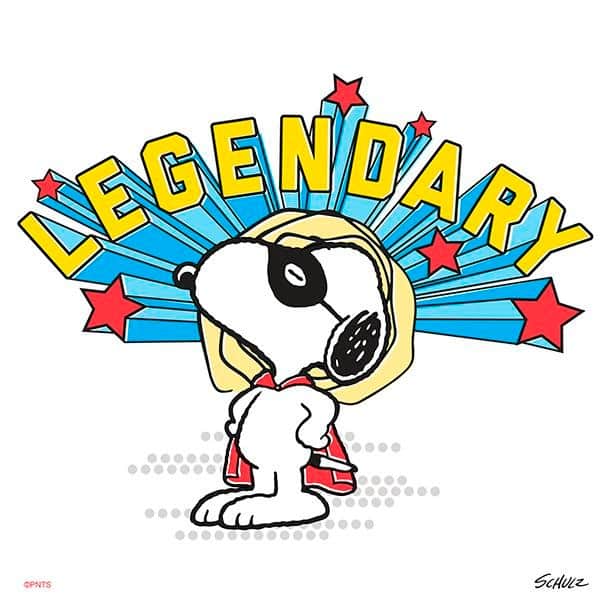 スヌーピーさんのインスタグラム写真 - (スヌーピーInstagram)「I have a legendary dog.」2月4日 23時34分 - snoopygrams