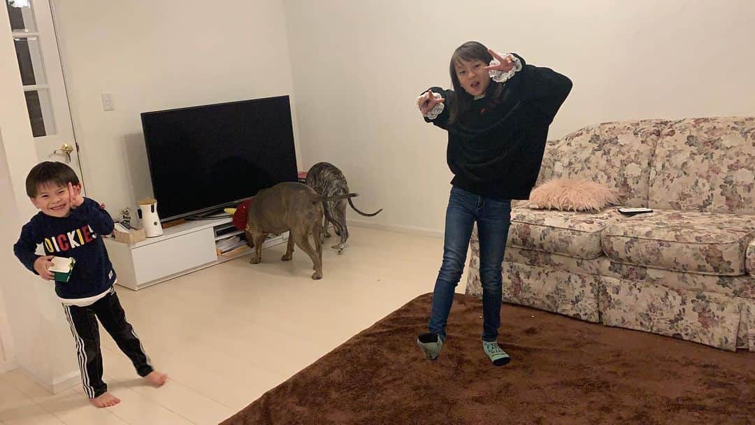町田亜里香のインスタグラム：「2020.2.3 〜節分〜 今年はちいは仕事で不在🤣 鬼はまたまたゼファーや ラヴィにお願いしました🤲 投げてくれとお座りするわんず🐶❤︎笑 . . ぱくって食べれちゃうもんね。笑 怖くない鬼しかこない 我が家でした😂😂 . . #節分 #豆撒き #姉弟  #家族 #犬のいる暮らし  #アメリカンピットブルテリア  #ピットブル  #ウィペット  #11歳 #5歳 #6歳差」