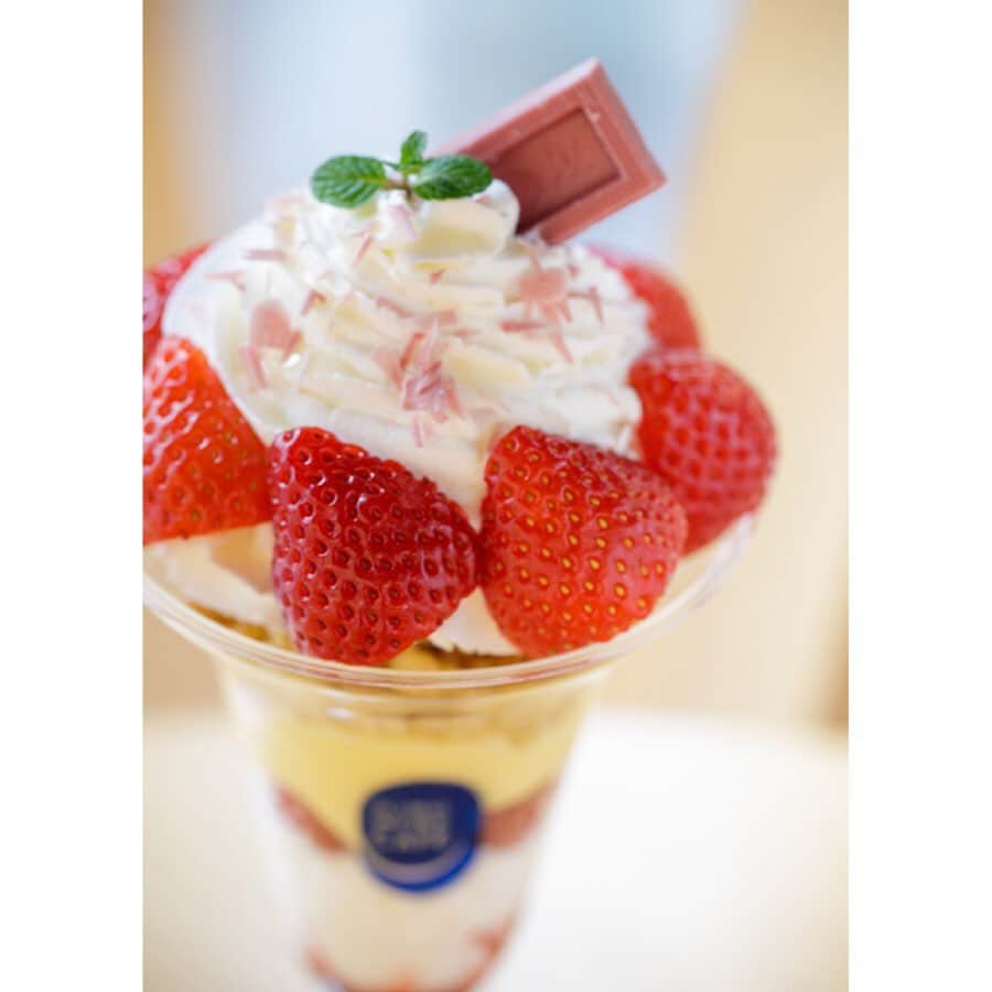 キャナルシティ博多のインスタグラム：「ピンク色のチョコ食べたことある？？🍫🍓 ・ 毎年バレンタインシーズンには、色々なチョコが登場してますよね。なかでも第4のチョコとして話題の“ルビーチョコレート”を使ったデザート＆ドリンクメニューが、キャナルのグローバルワークカフェで期間限定販売されてるんです!😋ご存知でしたか？ ・ 鮮やかなピンク色チョコが、見た目にもとっても新鮮！味もマシュマロやベリーなど、ルビーチョコレートのフルーティーな酸味に、それぞれ素材の甘みがバランス良くマッチしています。 ・ マシュマロルビーチョコ 430円 ルビーチョコ&ベリースムージー 480円 ルビーチョコ&ベリーパフェ 800円 ※価格はすべて税別 ・ まさに今だから味わえるスペシャルメニュー❣️バレンタインデートやお友達と一緒に楽しんでみては？ ・ ■GLOBAL WORK CAFE https://canalcity.co.jp/shop/shop_type/3/detail/545  #fukuoka #hakata #tenjin #福岡 #博多 #天神 #canalcity #キャナル #キャナルシティ博多 #バレンタイン #ValentinesDay #chocolate #スイーツ #sweets #チョコレート #チョコ好き #バレンタインチョコレート #すいーつ #スイーツ部 #おやつの時間 #おやつ  #ルビーチョコレート #グローバルワークカフェ #グローバルワーク #globalworkcafe #globalwork #スムージー #パフェ #いちご」